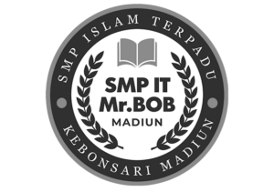 brand smp mr bob